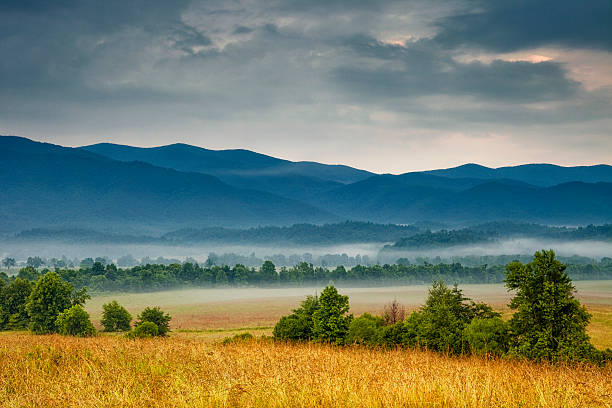 AllWhoWander: Road trip review: Parsons Branch Road Out of Cades Cove; Smokies