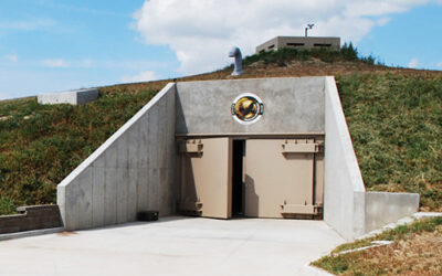 BUILDING A BUNKER? THE INVERSE RULE OF SURVIVAL SECURITY